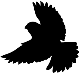 clipart owl silhouette