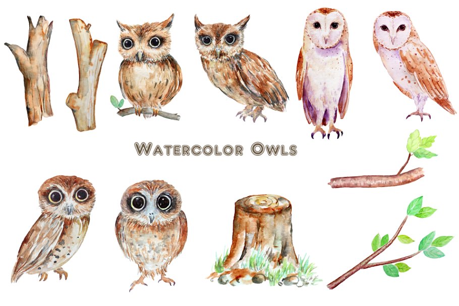 owls clipart watercolor