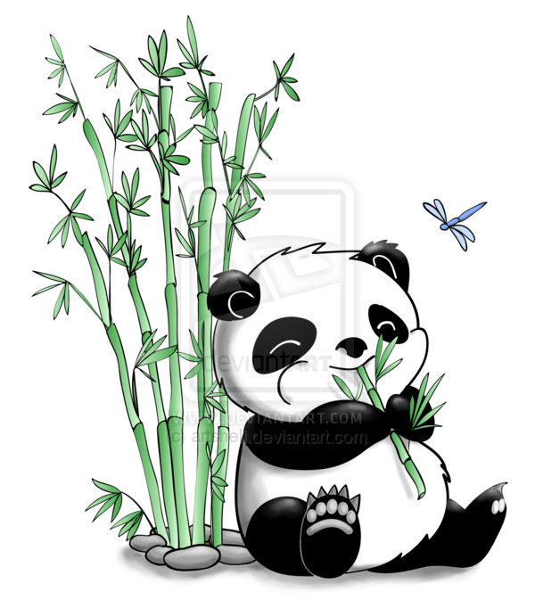 clipart panda bamboo