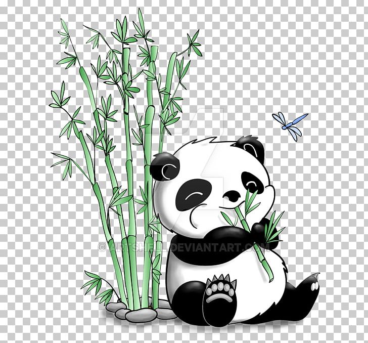 Clipart panda bamboo drawing. Giant bear png art