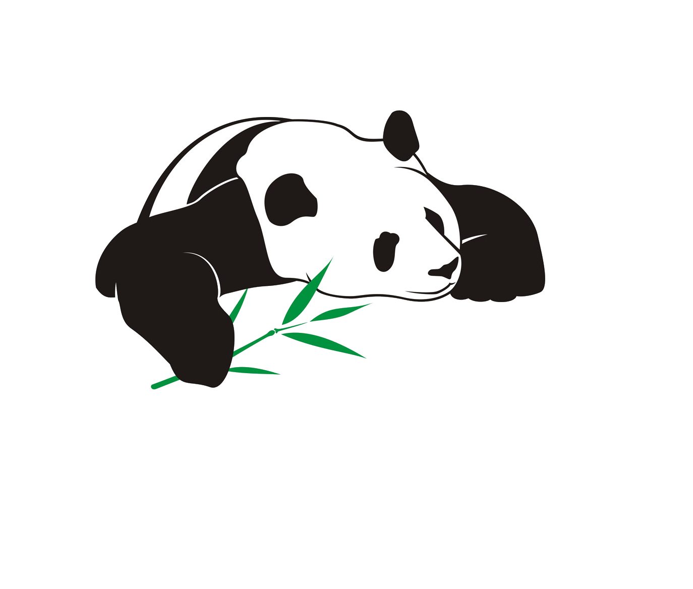 Clipart panda bamboo drawing. Giant bear illustration eating