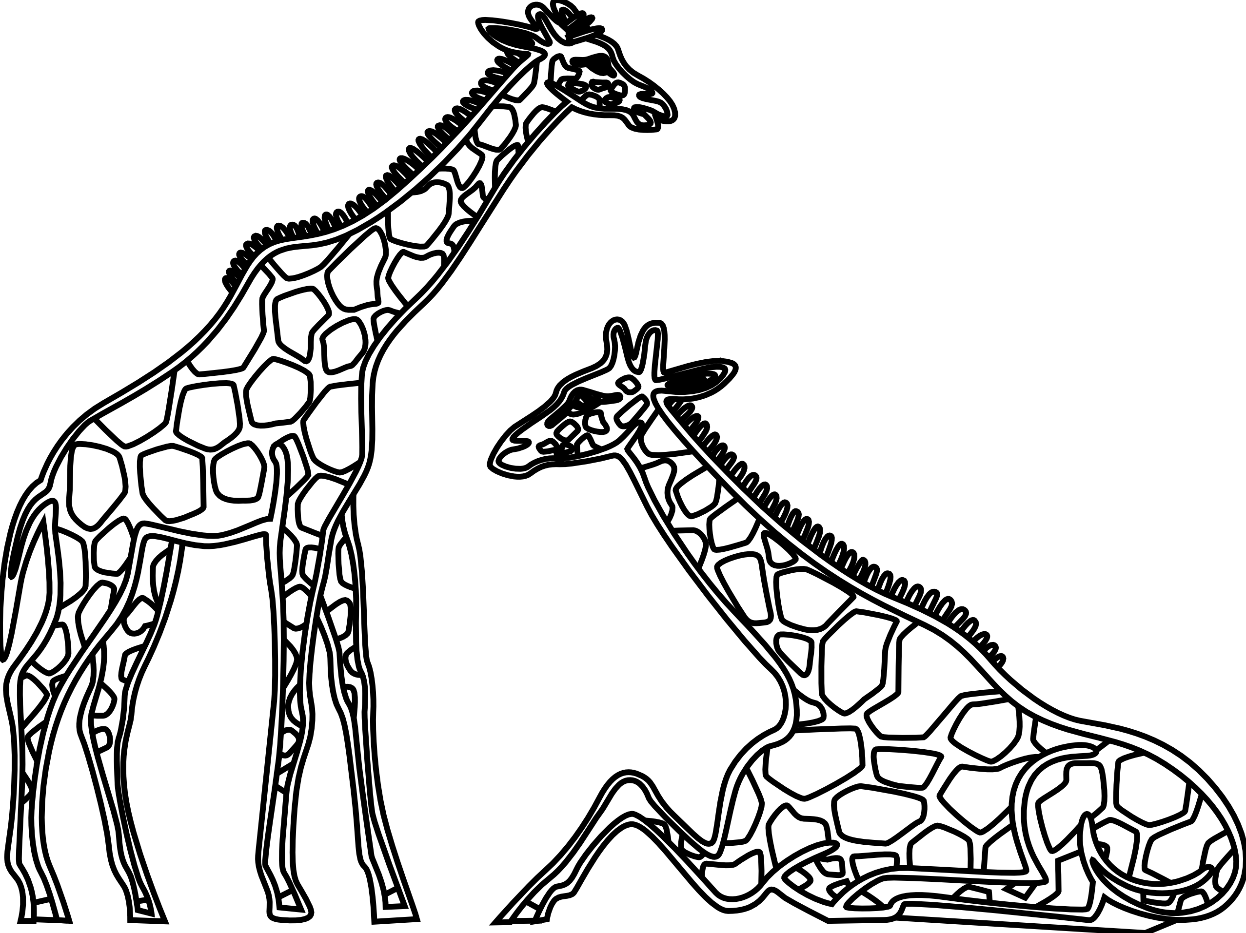 Zipper clipart draw. Black and white giraffe