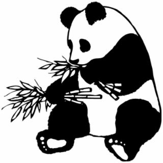 Clipart panda china. Express care logo png