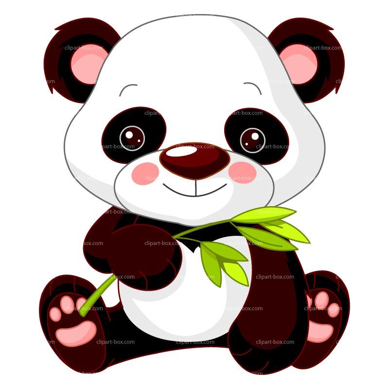 panda clipart cute baby zoo animal
