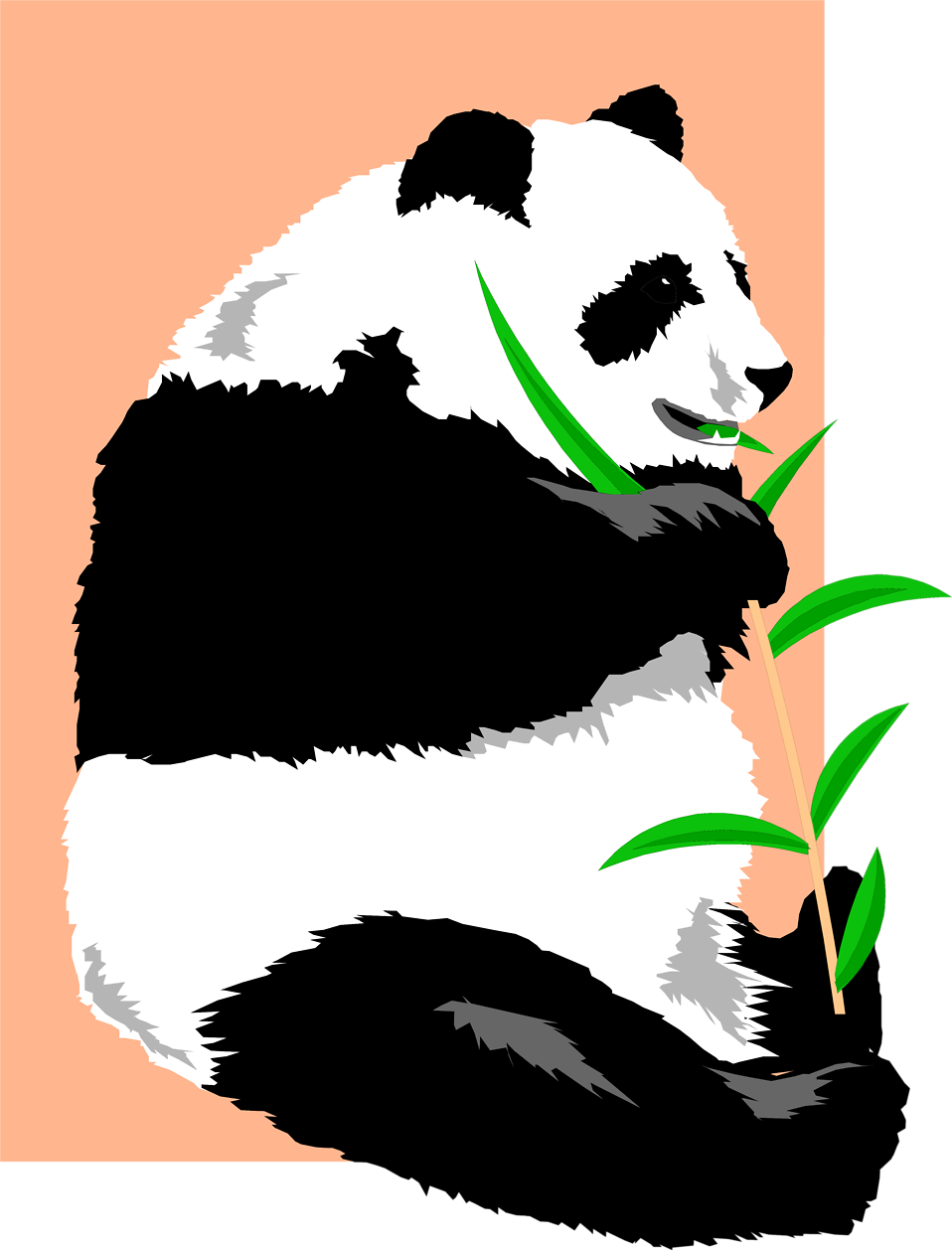 clipart panda giant panda