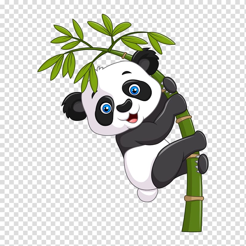 Clipart panda holding bamboo. Giant cartoon illustration on