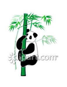 A branch royalty free. Clipart panda holding bamboo