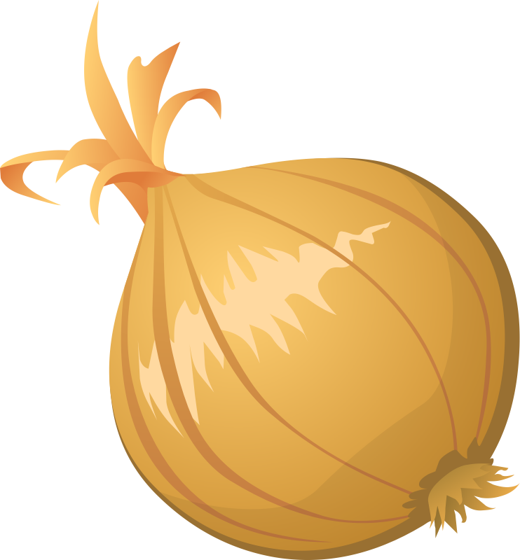 Onion onion leaves
