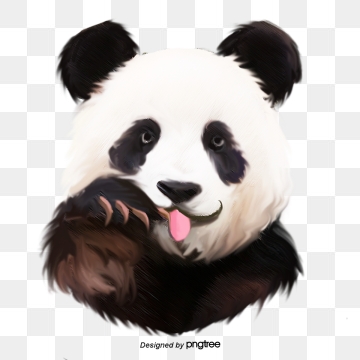 panda clipart real