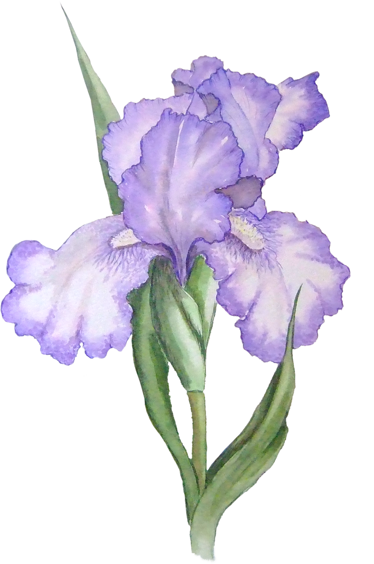 paint clipart flower