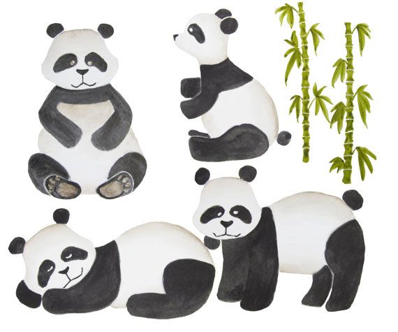 clipart panda watercolor