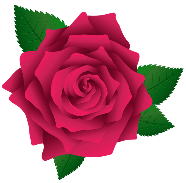 Clipart roses vector. Pink rose png image