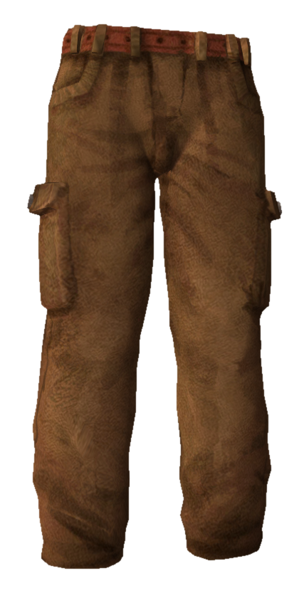 Pants brown pants