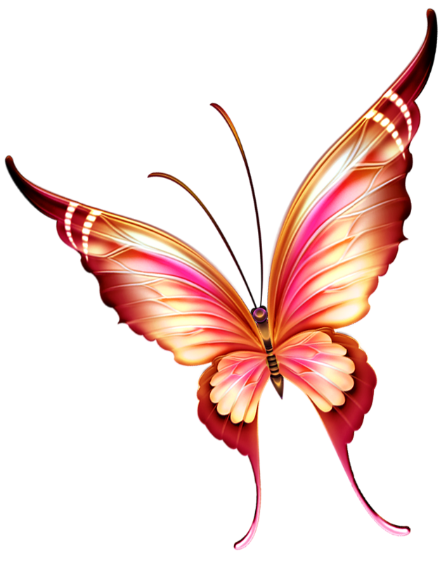 clipart park butterfly