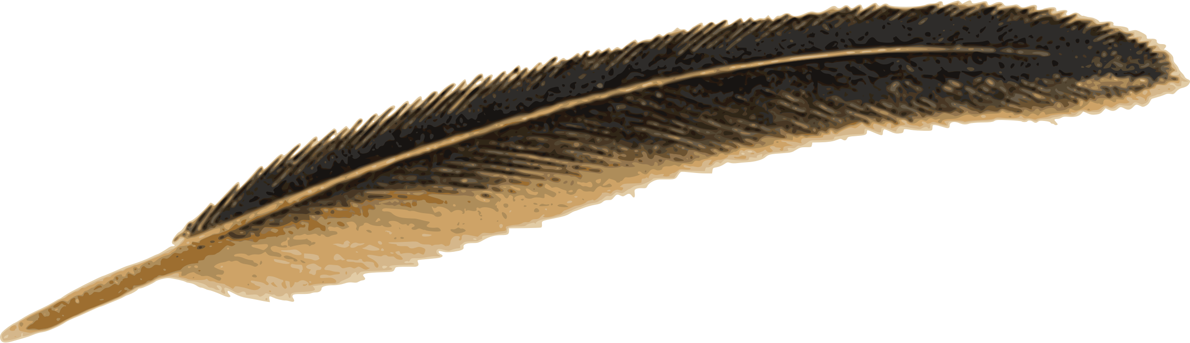 feather clipart brown