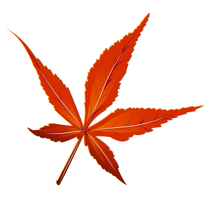 Transparent red picture gallery. Pen clipart leaf