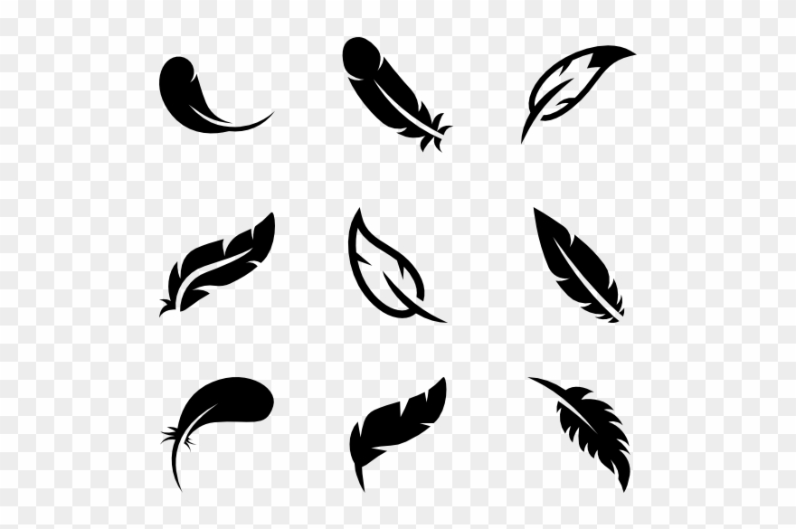 feathers clipart pencil