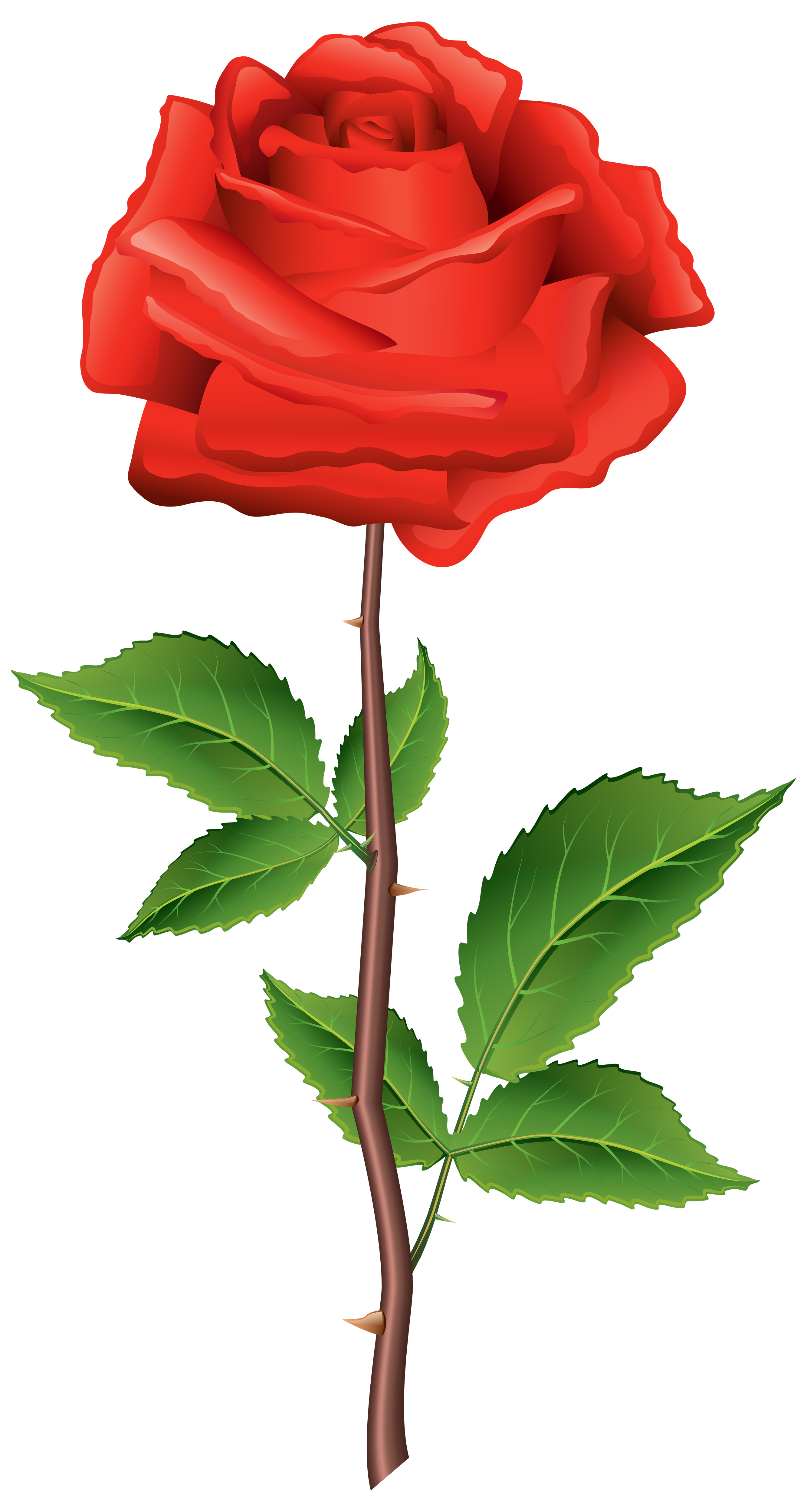 Clipart rose single. Stem red png best