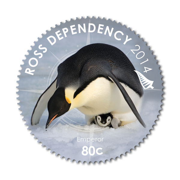 clipart penguin adelie penguin