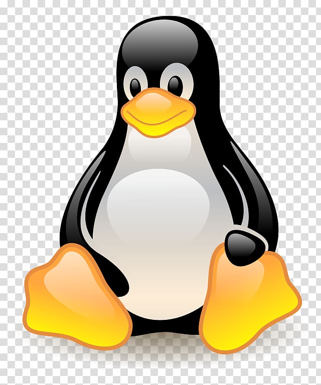 clipart penguin computer