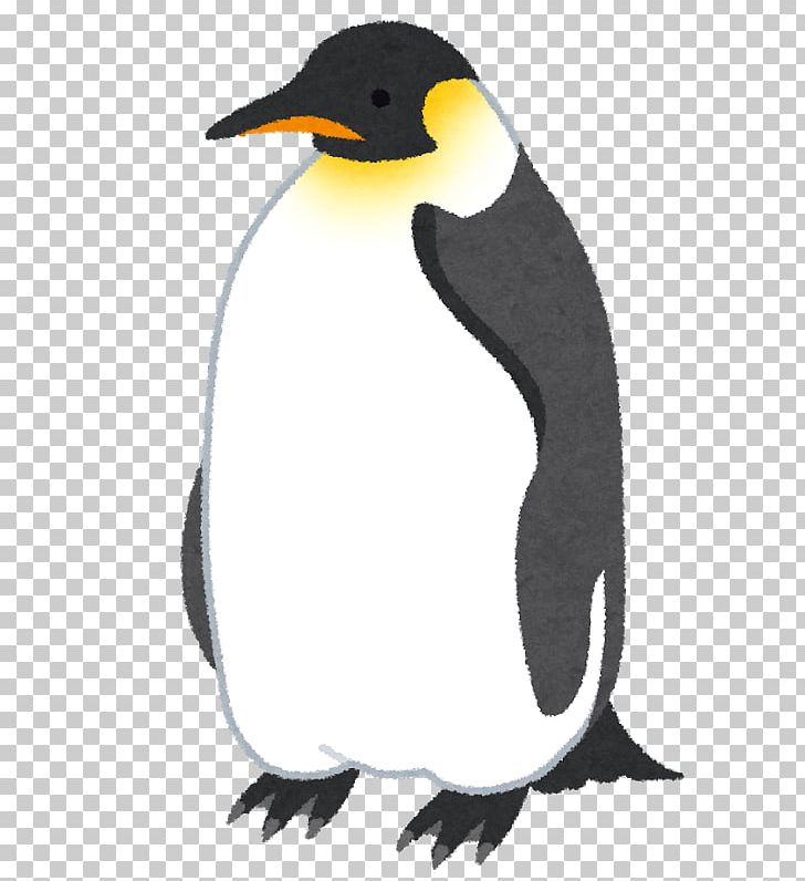 clipart penguin emperor penguin
