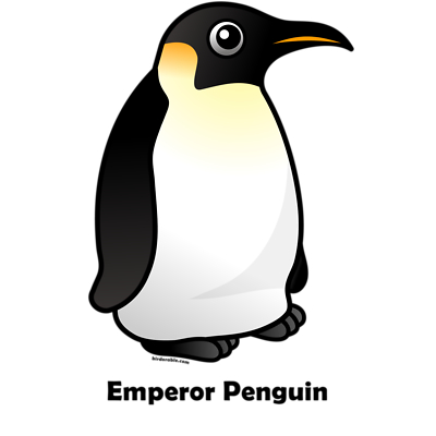 clipart penguin gentoo penguin