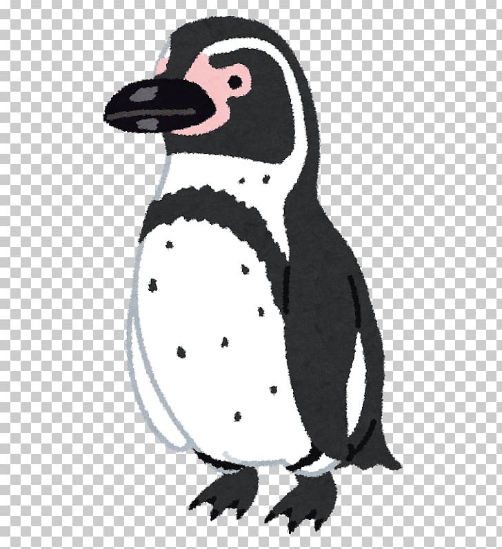 clipart penguin humboldt penguin