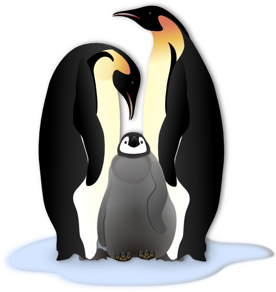 clipart penguin king penguin