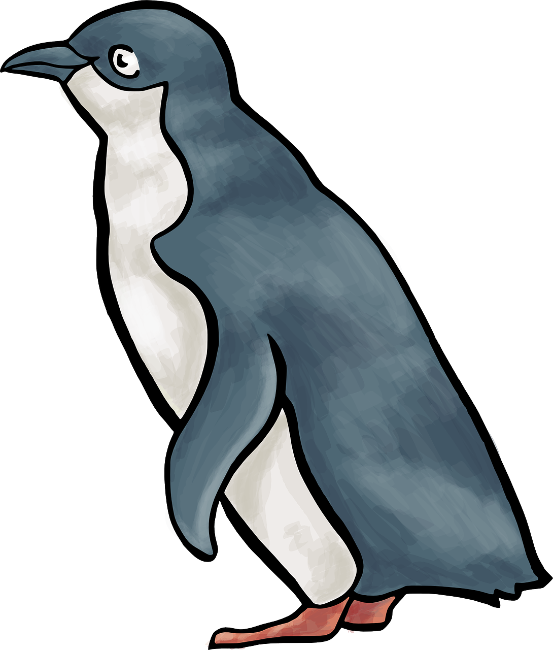 Clipart penguin little penguin. Clip art transprent png