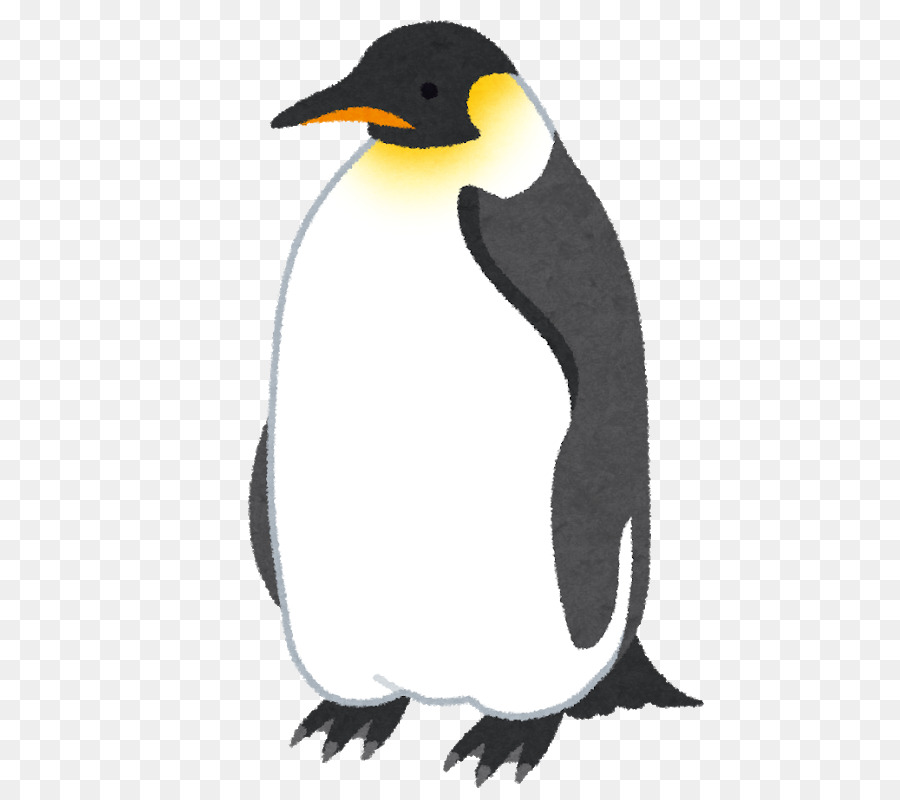Clipart penquin pengui. Penguin cartoon bird transparent