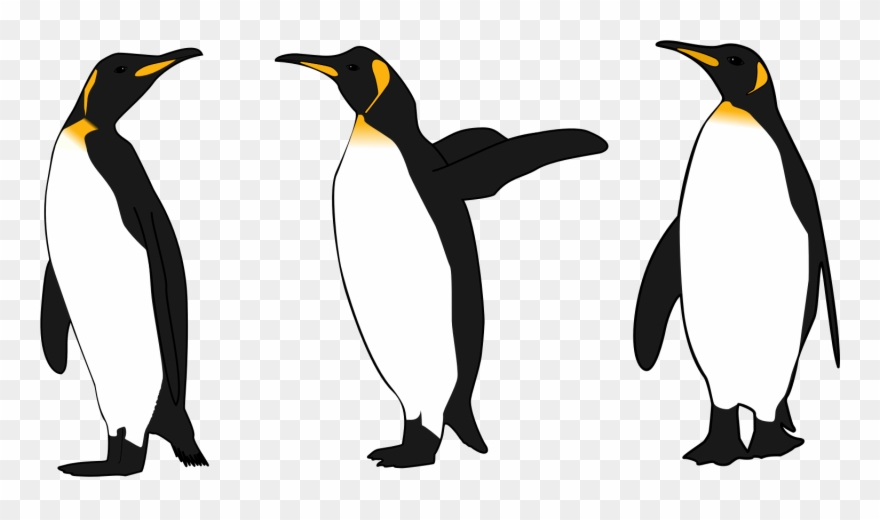 clipart penguin realistic
