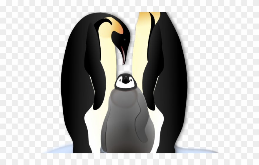 clipart penquin arctic penguin