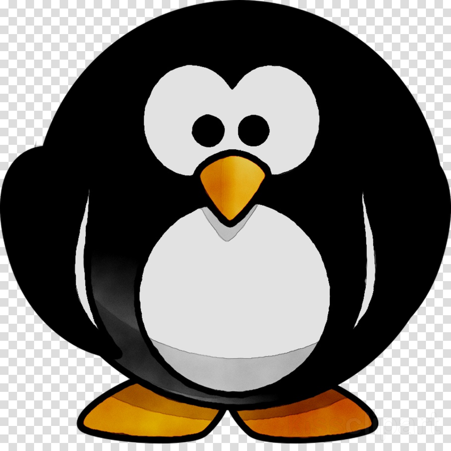 Clipart penquin design. Cartoon bird penguin transparent