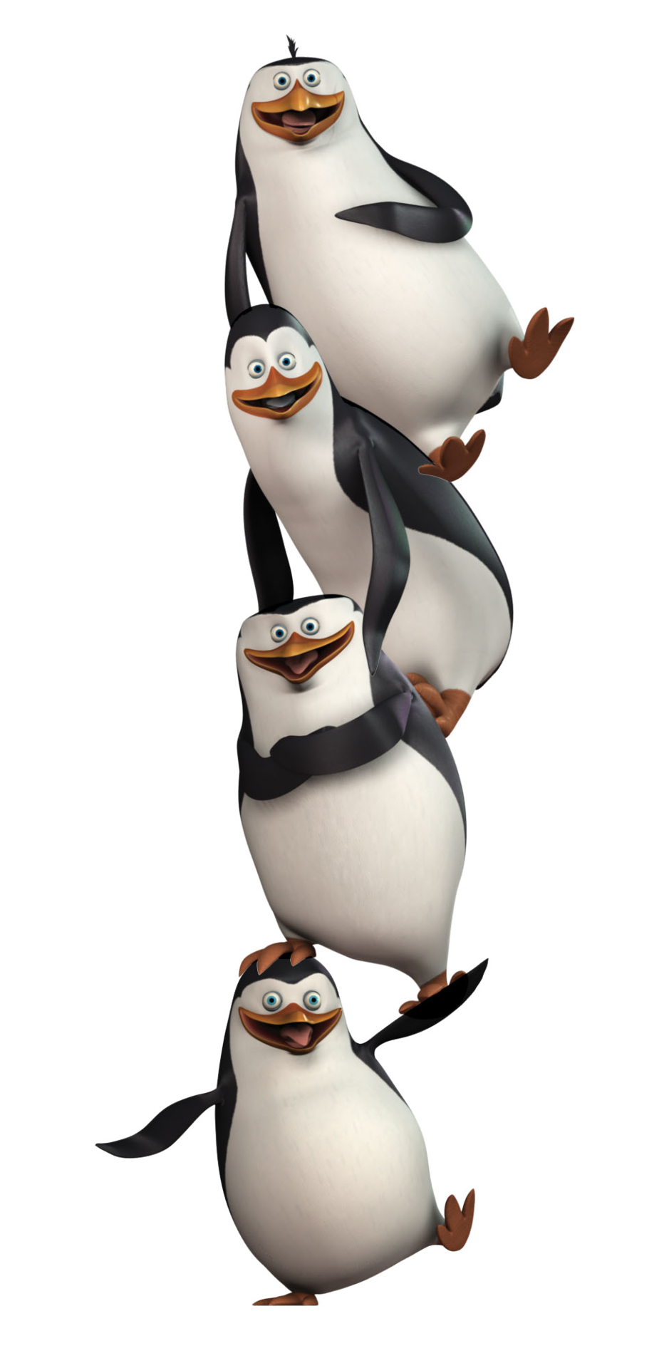 clipart penquin penguin madagascar