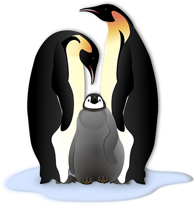 clipart penquin royal penguin