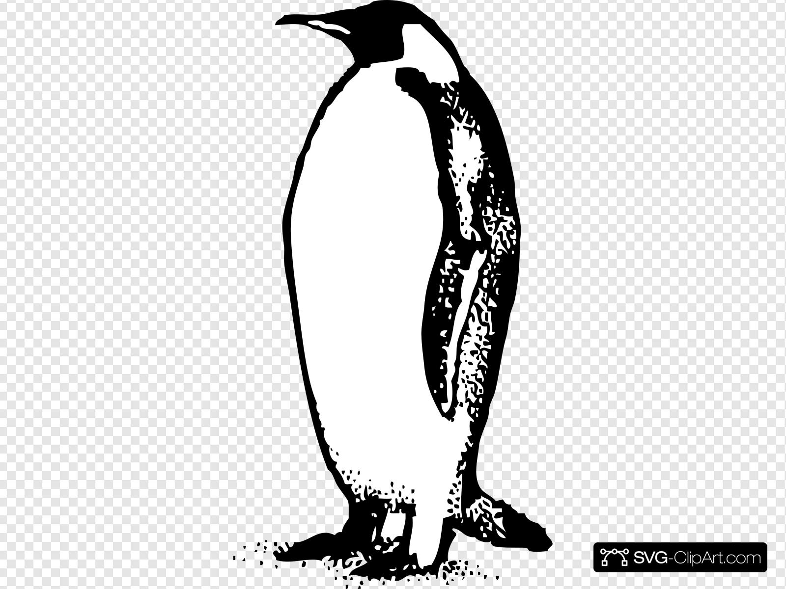 Пингвин черно белый рисунок