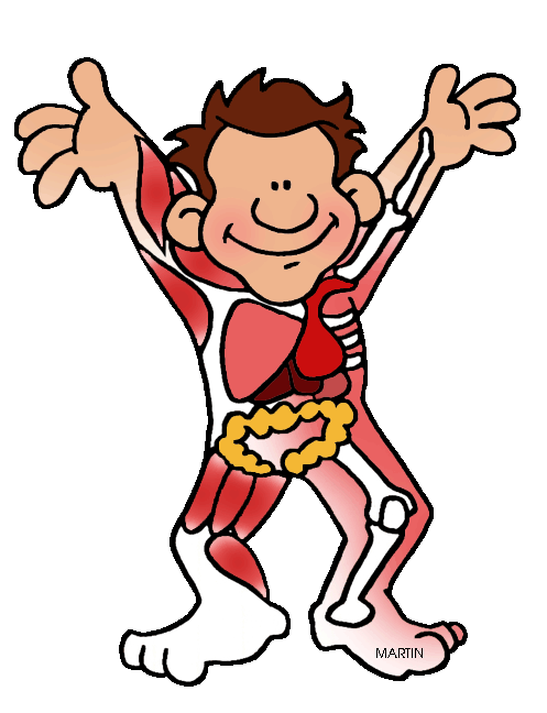 Clipart science human body. Clip art by phillip