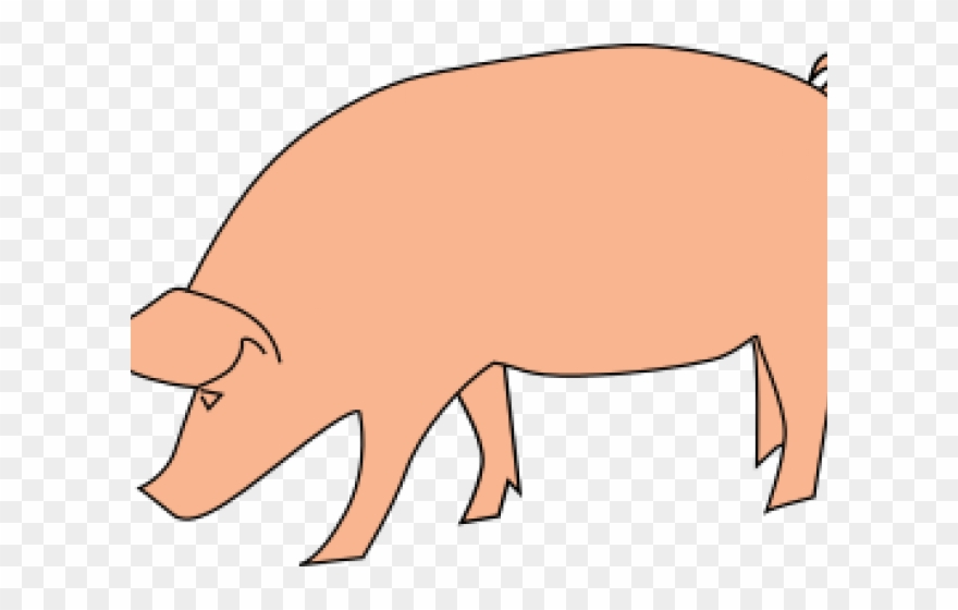 Clipart pig baboy. Pork swinia rysunek png