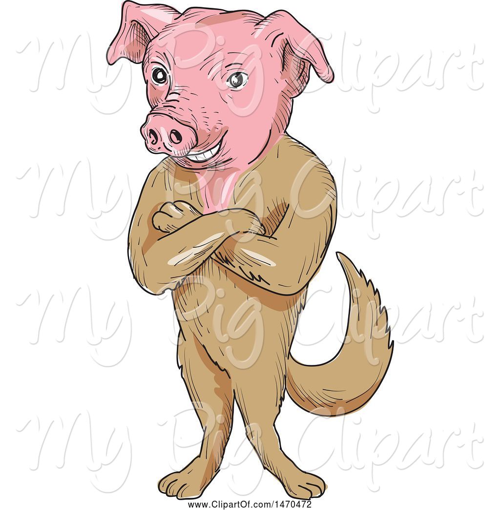 Clipart pig body. Swine of creature with