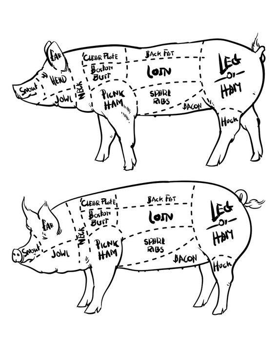 Pin on products . Clipart pig cut