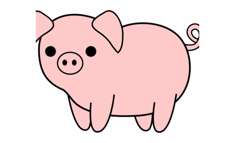 pigs clipart domestic animal
