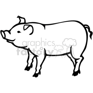 clipart pig line art