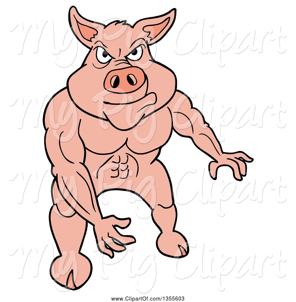 pigs clipart muscular