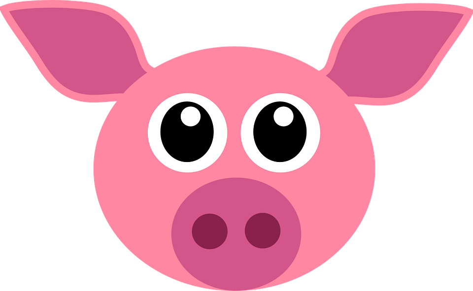 Clipart pig rectangle. Pictures of a cartoon