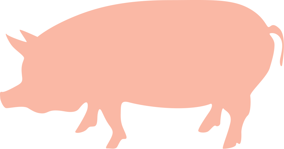 pigs clipart shadow