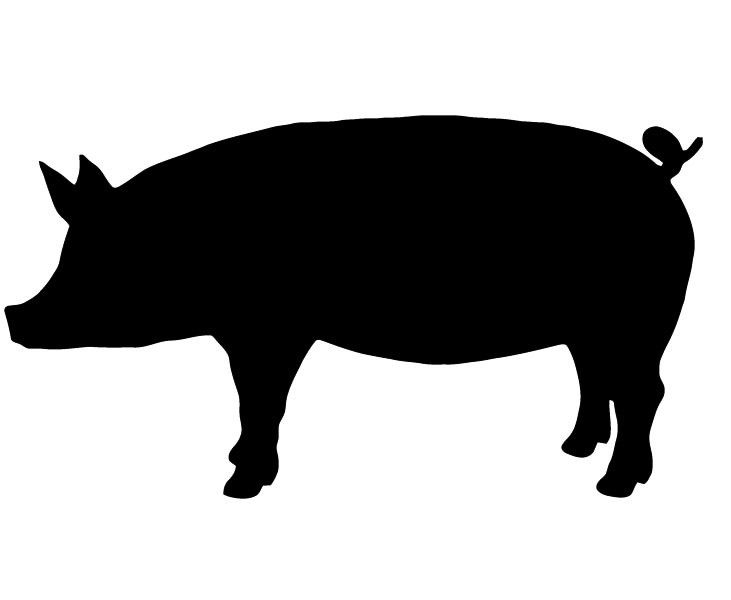 Clipart pig shadow. Show silhouette best stenciling