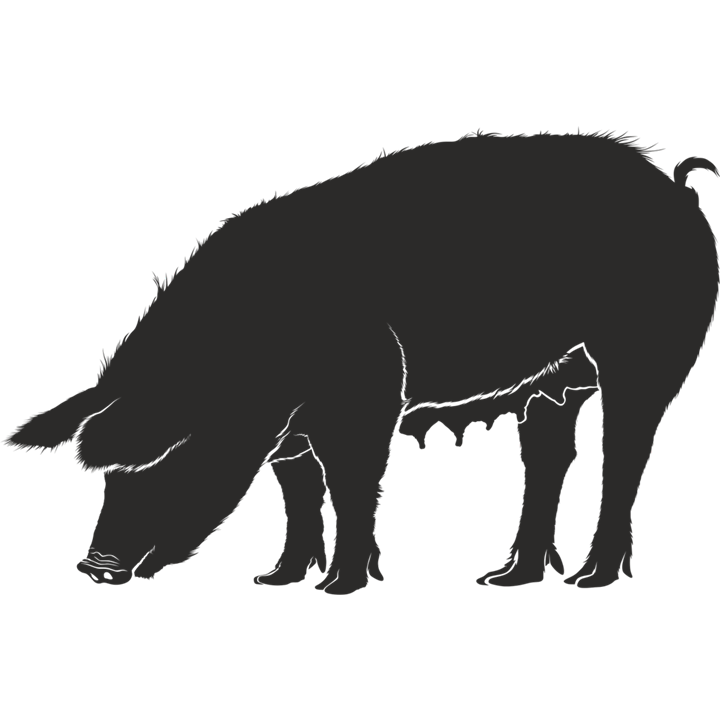 clipart pig silhouette