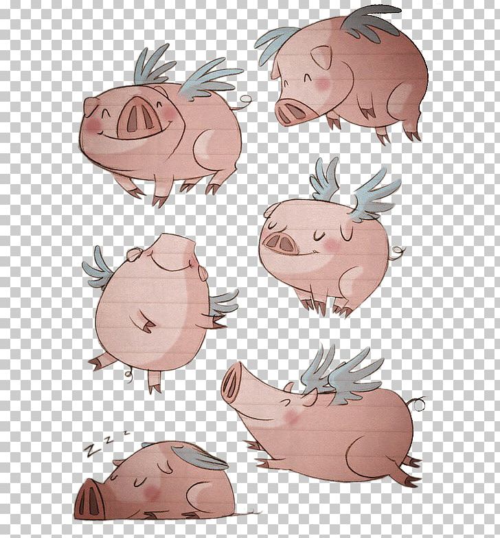 Domestic pig drawing illustration. Pigs clipart six