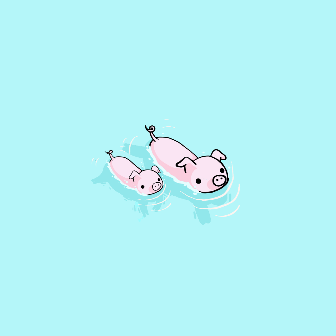 pigs clipart swimming