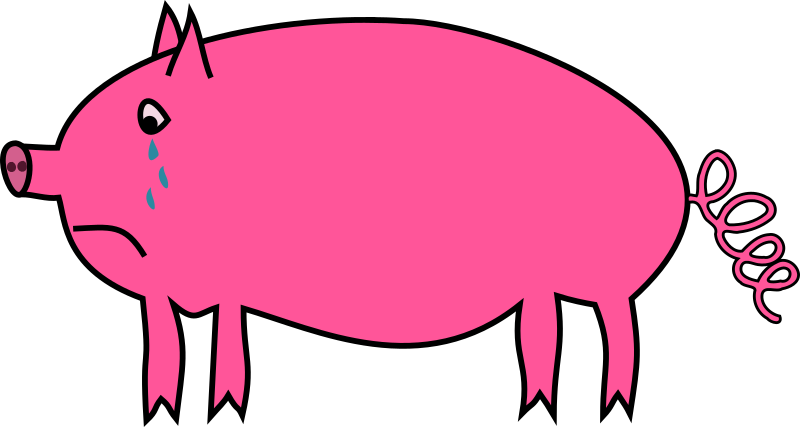 clipart pig teacher